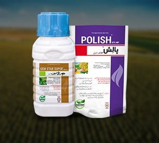 Fungicides (فنگس مار دوا)